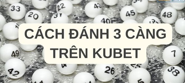 Tìm hiểu thông tin cơ bản về đề 3 càng là gì?